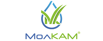 МолКам